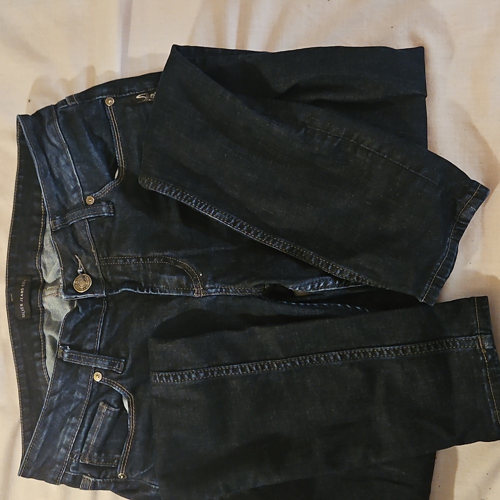 JeanSilver Jeans Co. Elyse Skinny – Curvy Fit No-Gap Waistband – 26x31